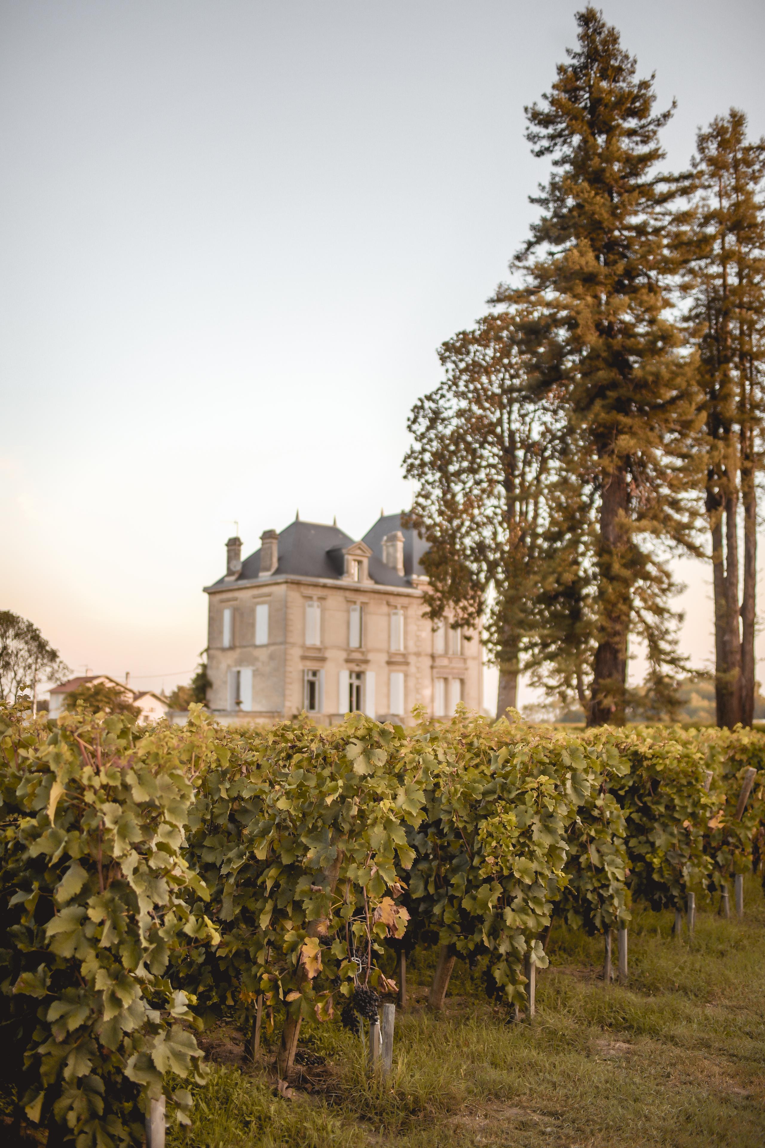 L'expression fidèle du terroir de Pomerol